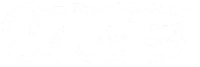 Vice